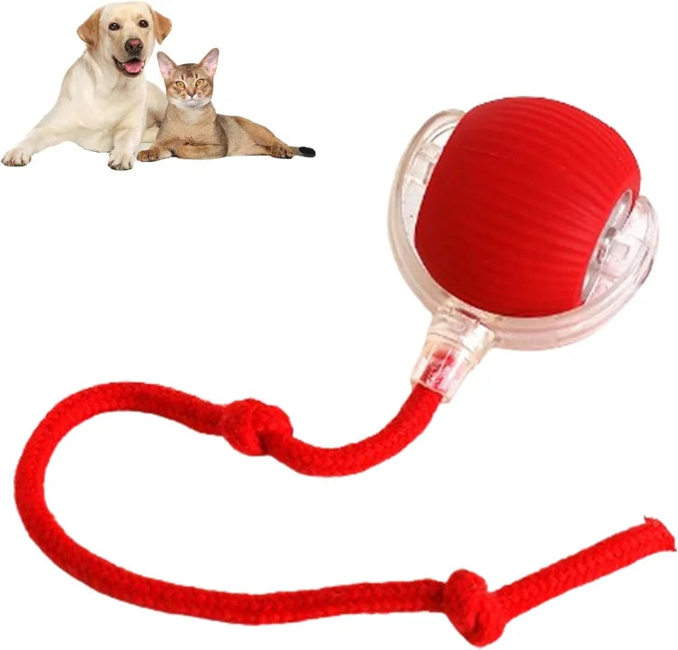 MeyPaw™ - Smart Interactive Pet Toy Ball | The Ultimate Playmate for Happy, Healthy Pets! 🐾