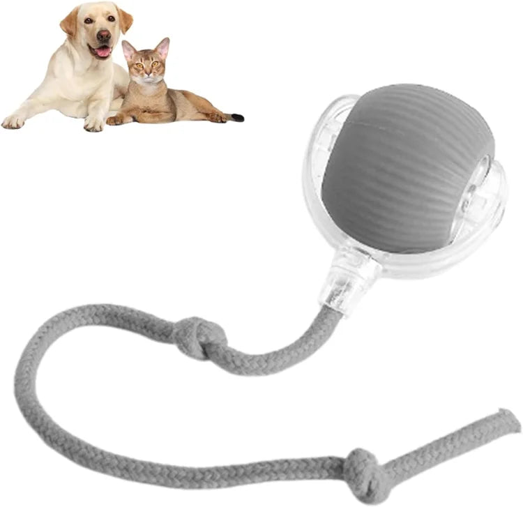 MeyPaw™ - Smart Interactive Pet Toy Ball | The Ultimate Playmate for Happy, Healthy Pets! 🐾