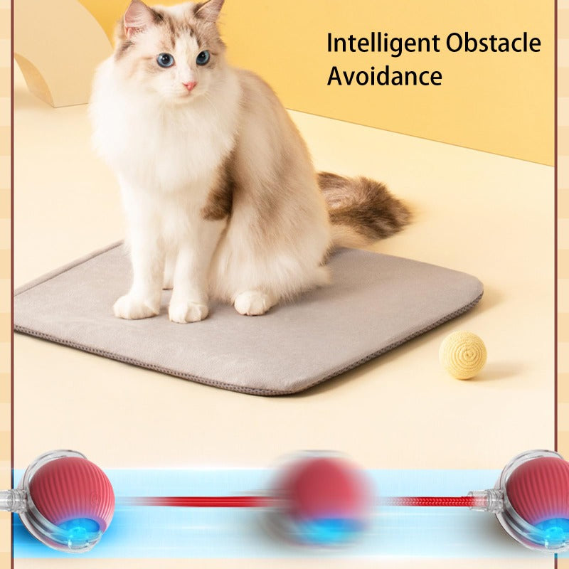 MeyPaw™ - Smart Interactive Pet Toy Ball | The Ultimate Playmate for Happy, Healthy Pets! 🐾