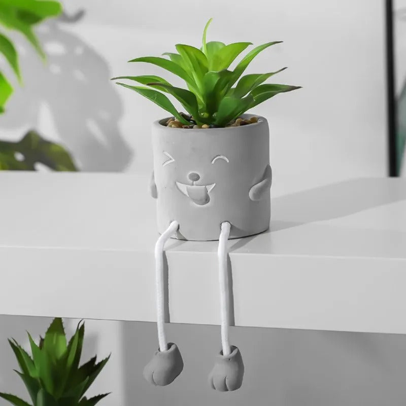 BloomBuddy™ Succulent Plant Pots | Add a Pop of Personality to Your Plants 🌱