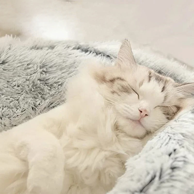 MeyNest™ – Give Your Furry Friend The Best With MeyNest™ 🐾 | The Ultimate Calming Bed for Comfort, Security & Anxiety Relief
