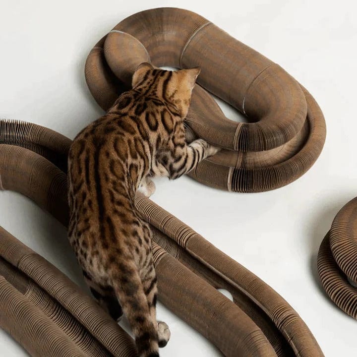 MeyPaw™ PurrPlay - Where Fun Meets Feline Bliss! 🐾