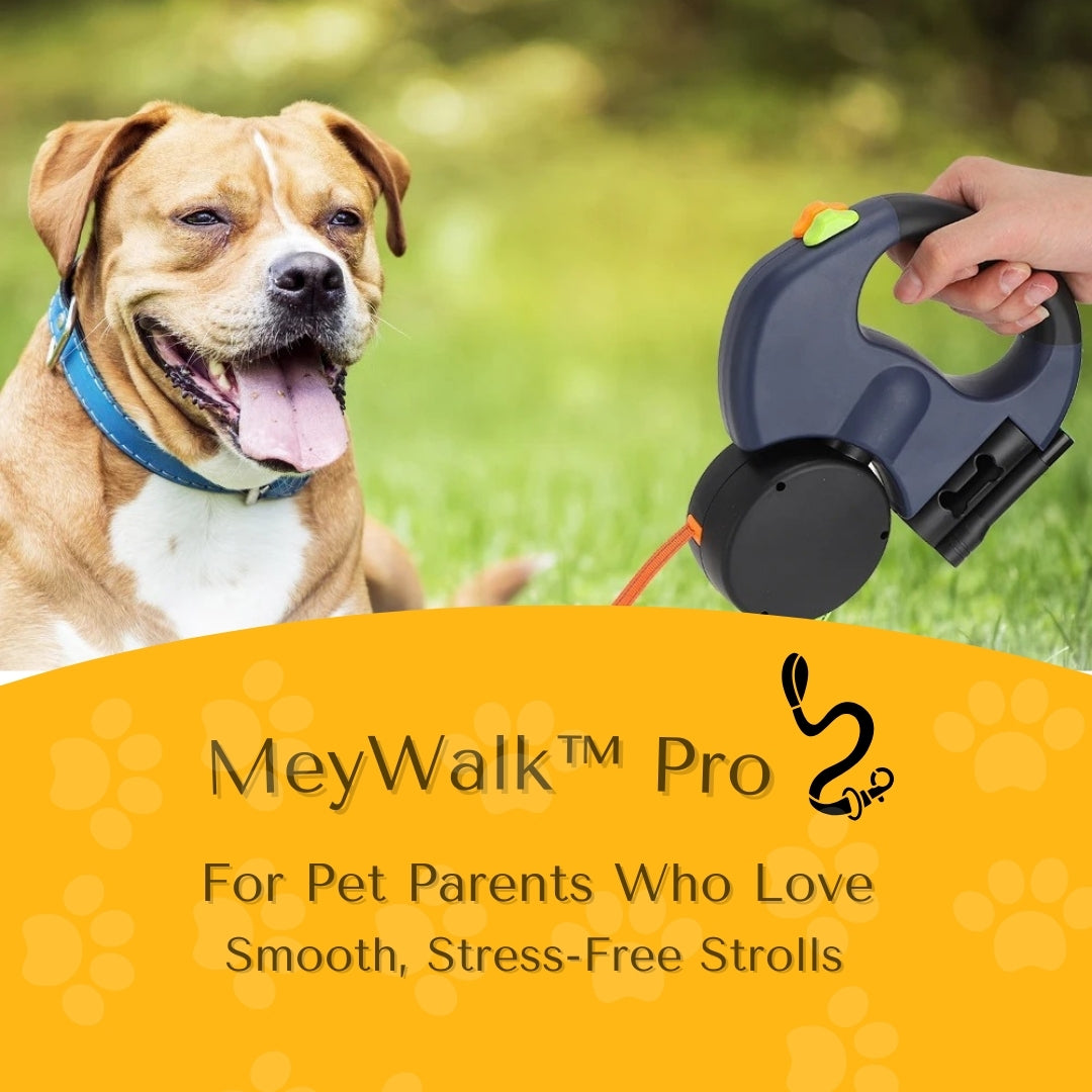 MeyWalk™ Pro Dual Dog Leash | The Pawfessional Dual Dog Leash for Effortless Walks