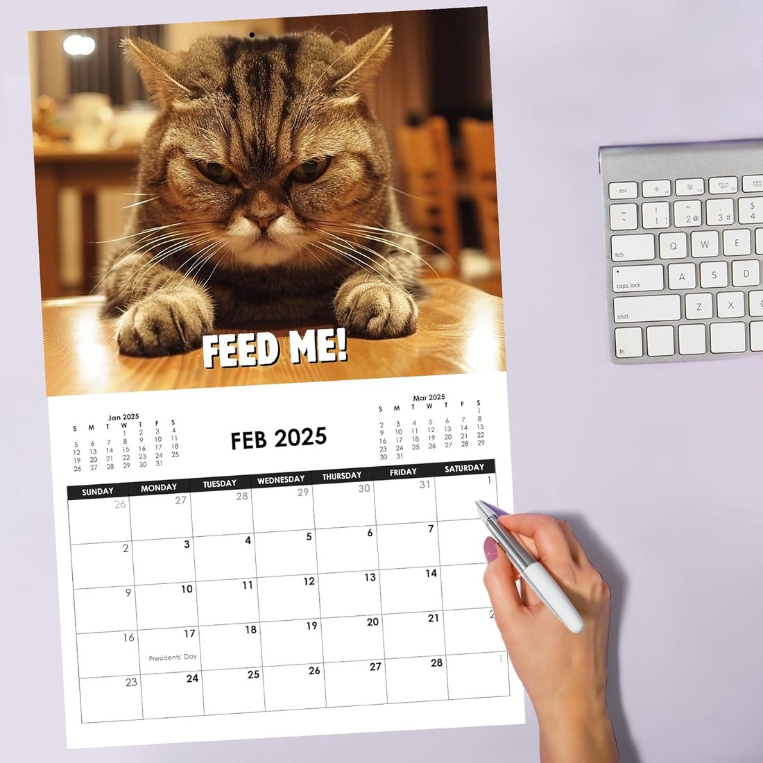 MeyCat™ - 2025 Grumpy Cats Wall Calendar | 12 Months of Hilariously Feisty Felines to Keep You Laughing All Year!
