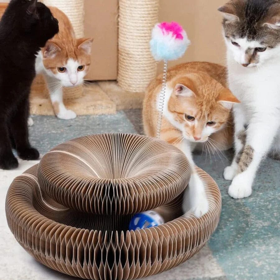 MeyPaw™ PurrPlay - Where Fun Meets Feline Bliss! 🐾