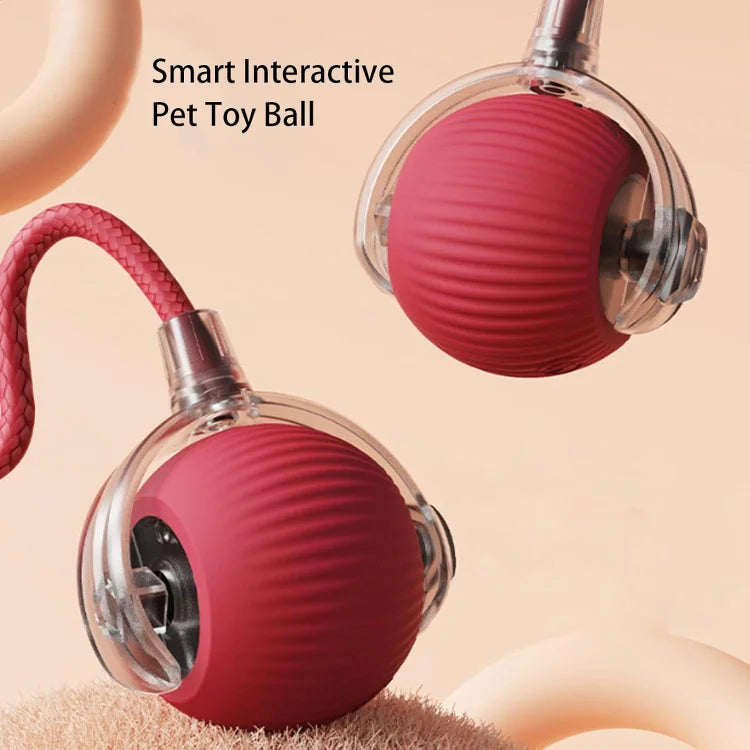 MeyPaw™ - Smart Interactive Pet Toy Ball | The Ultimate Playmate for Happy, Healthy Pets! 🐾