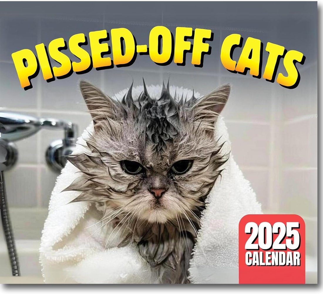 MeyCat™ - 2025 Grumpy Cats Wall Calendar | 12 Months of Hilariously Feisty Felines to Keep You Laughing All Year!