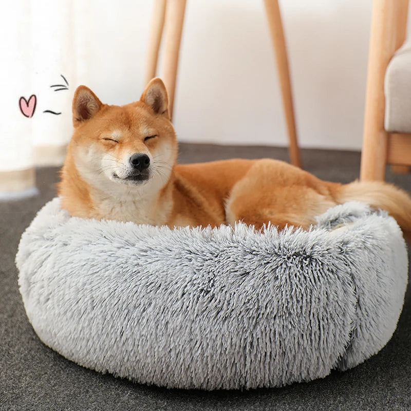 MeyNest™ – Give Your Furry Friend The Best With MeyNest™ 🐾 | The Ultimate Calming Bed for Comfort, Security & Anxiety Relief